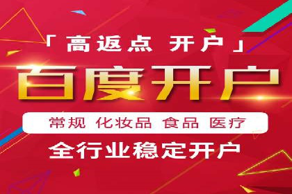 百度广告竞价策略详解：某电商平台的成功案例