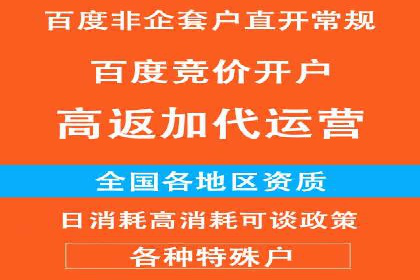 某知名百度推广代理商的营销策略分析